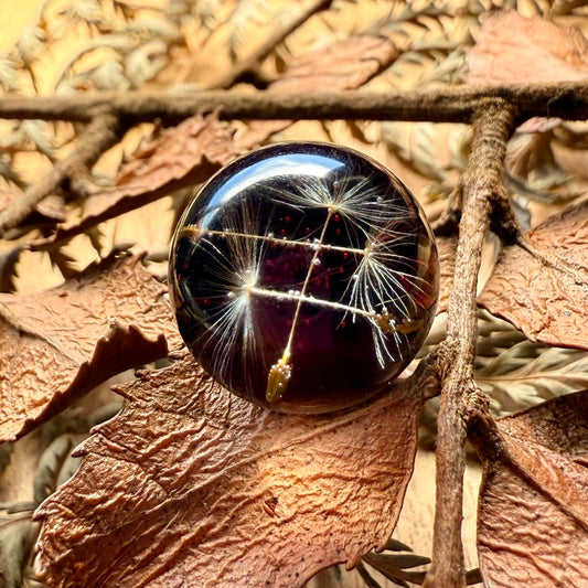 Zoom de anillo Cucao, que encapsula semillas de diente de león