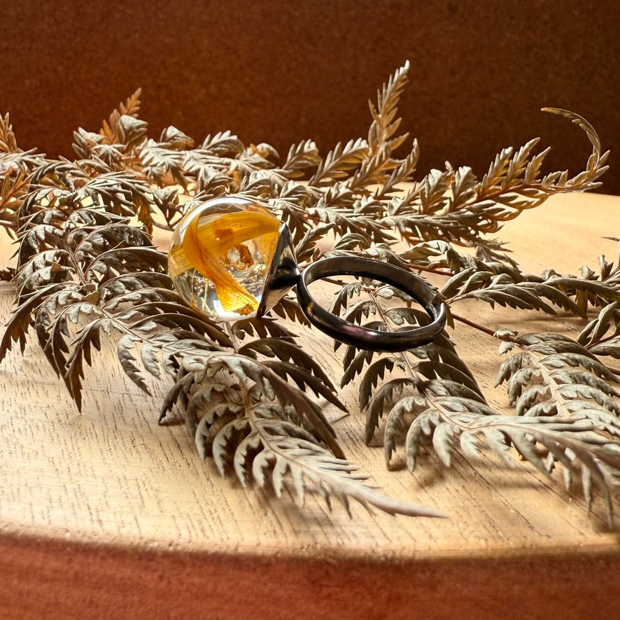 Anillo Quellón en vista lateral