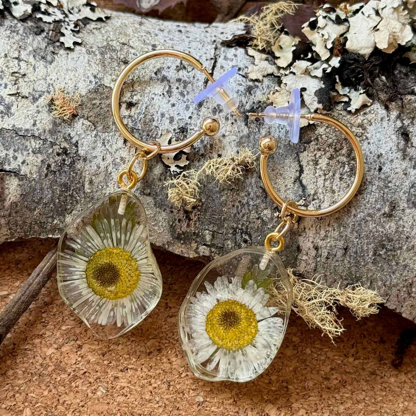 Par de aros Frutillar, cápsula de resina con forma irregular. encapsula pequeñas flores de margarita