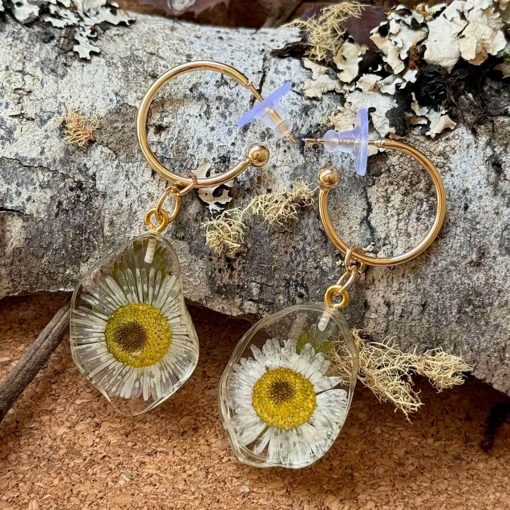 Par de aros Frutillar, cápsula de resina con forma irregular. encapsula pequeñas flores de margarita