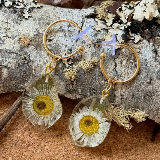 Par de aros Frutillar, cápsula de resina con forma irregular. encapsula pequeñas flores de margarita