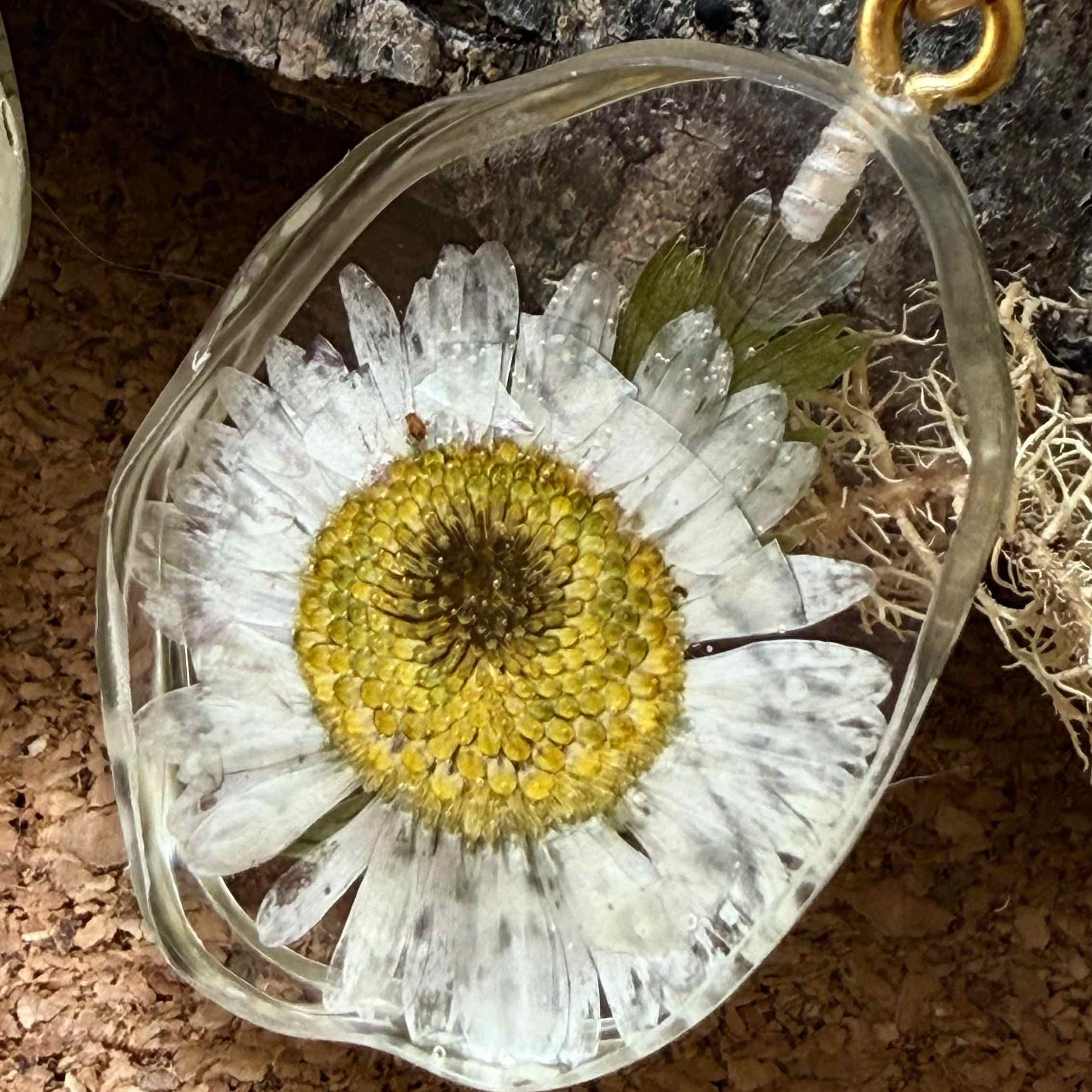 zoom a flor margarita en aros Frutillar