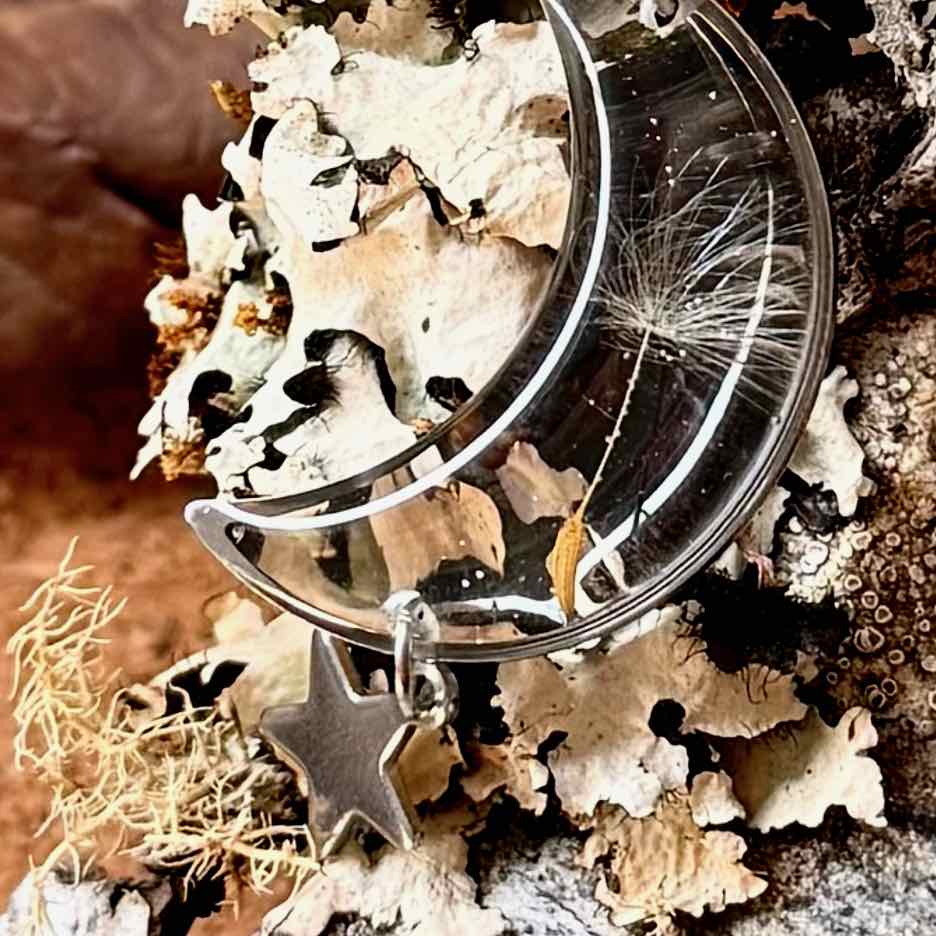 Zoom de semilla de diente de león en par de aros Ninhue