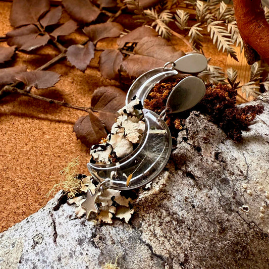 Par de aros Ninhue con forma de luna, transparente que encapsula semilla de diente de león.