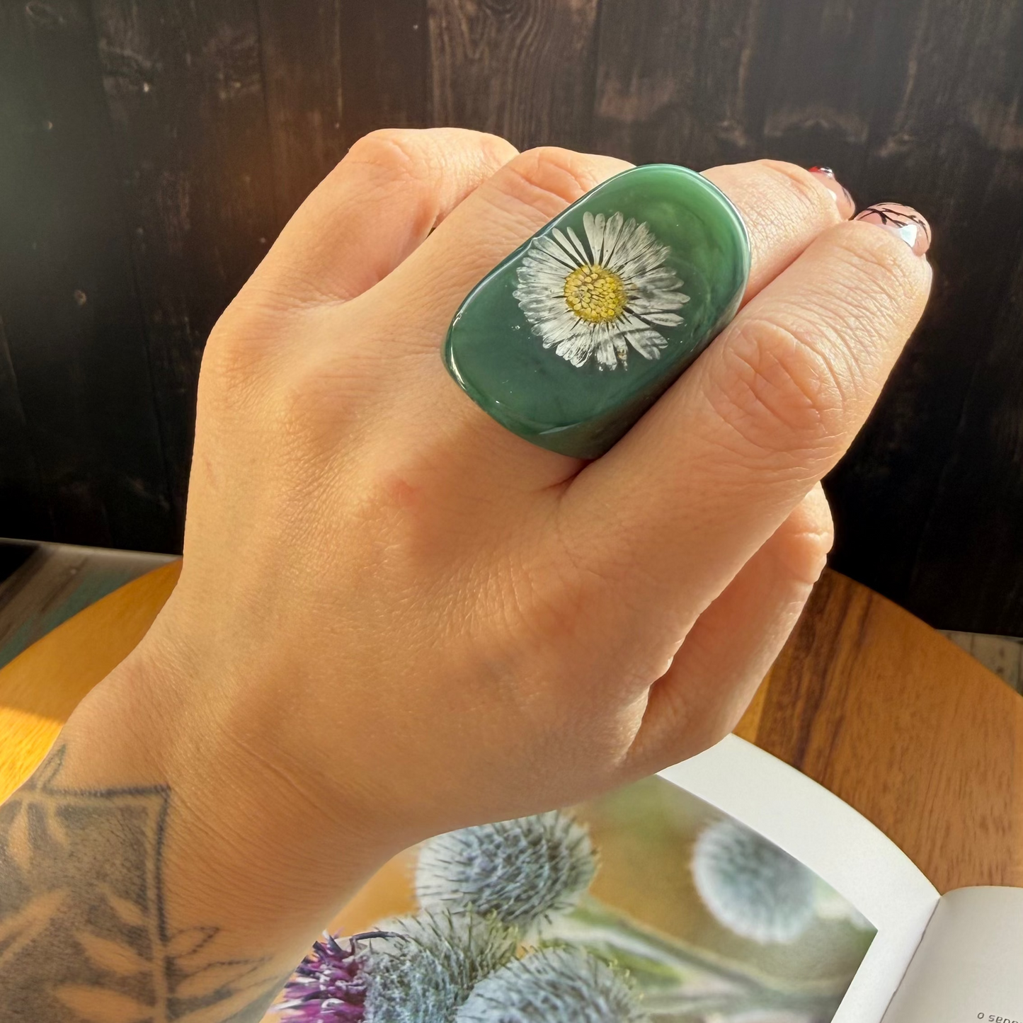 Anillo petri manzanilla